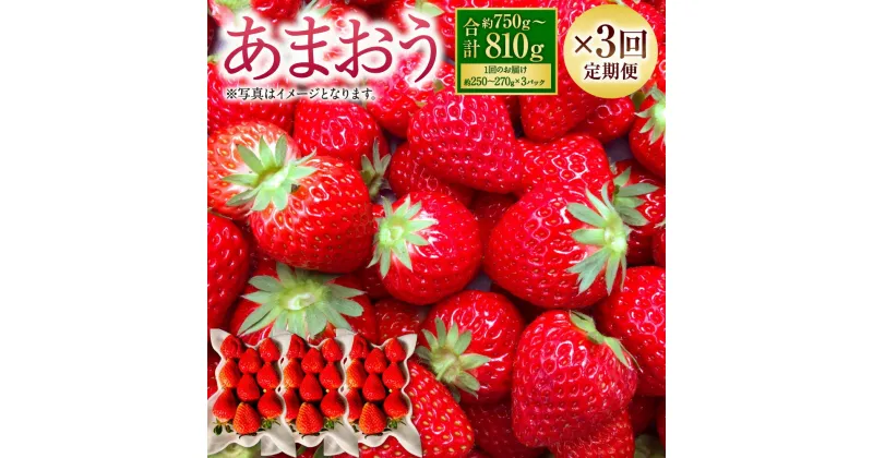 【ふるさと納税】【3回定期便】あまおう 約750～810g （約250～270g×3パック）×3回 G規格 グランデ 大粒 イチゴ いちご 苺 定期便 ストロベリー ベリー くだもの 果物 フルーツ 旬 国産 九州 福岡県 大刀洗町 送料無料 【2025年1月下旬～3月下旬発送予定】