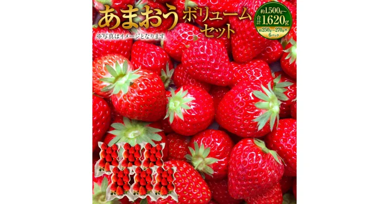 【ふるさと納税】あまおうボリュームセット 約1500～1620g（約250～270g×6パック） G規格 グランデ 大粒 イチゴ いちご 苺 ストロベリー ベリー くだもの 果物 フルーツ 旬 国産 九州 福岡県 大刀洗町 送料無料