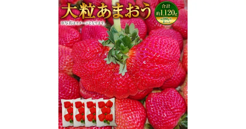 【ふるさと納税】大粒あまおう 約1000～1080g（約250～270g×4パック） 厳選 大粒 イチゴ いちご 苺 ストロベリー ベリー くだもの 果物 フルーツ 旬 国産 九州 福岡県 大刀洗町 送料無料 【2025年2月上旬～4月上旬発送予定】