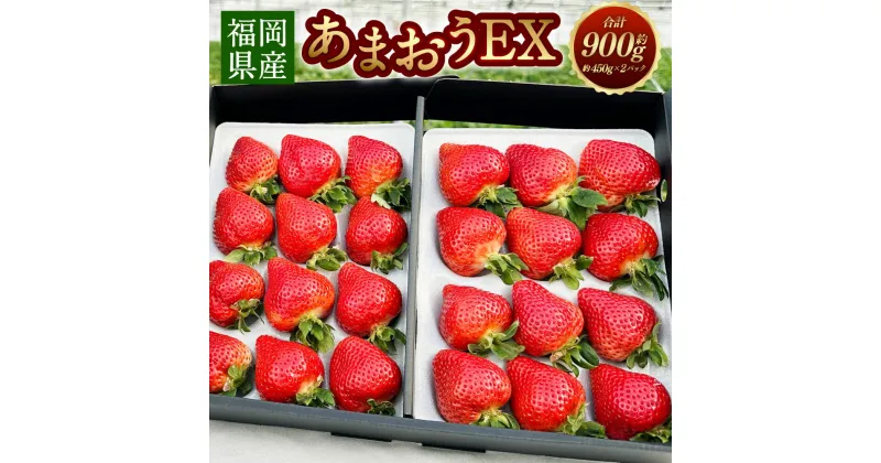 【ふるさと納税】特別栽培 福岡県産 あまおう EX 合計 約900g 約450g×2パック ギフト配送 いちご 苺 果物 フルーツ エコファーマー 送料無料 【2025年1月上旬～3月下旬発送予定】