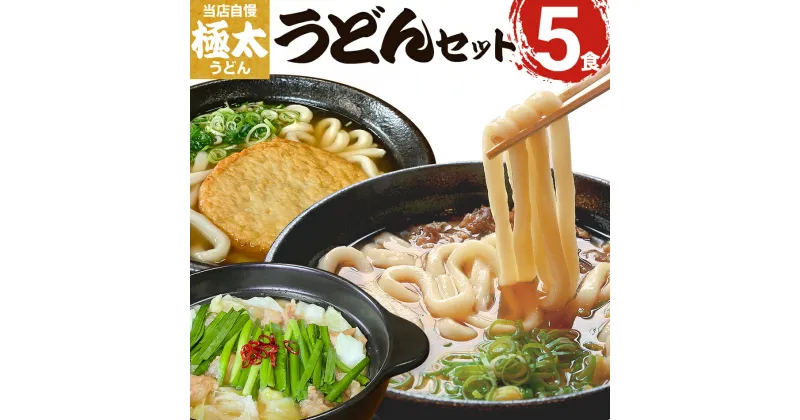 【ふるさと納税】うどん 極太 極太麺 3種うどんセット 食べ比べ 詰め合わせ もちもち 釜あげ 長い もつ鍋焼うどん 肉うどん 丸天うどん セット 九州産 小麦 急速冷凍 冷凍うどん おすすめ 福岡県 大木町 土俵うどん AS03 年末年始グルメ