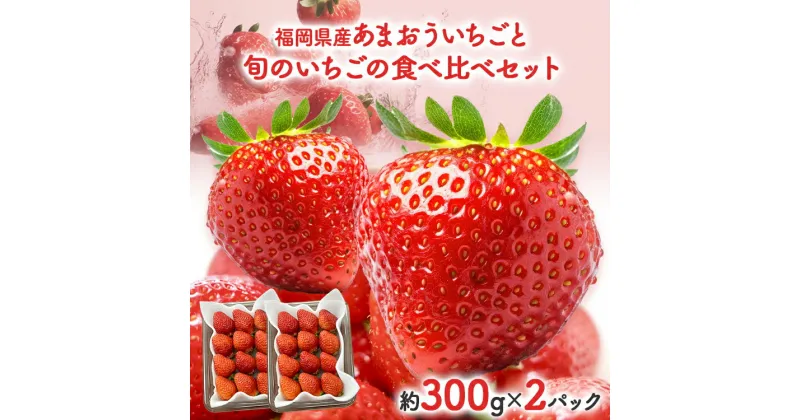 【ふるさと納税】あまおうと旬のいちごの食べ比べセット 約300g×2パック 紅ほっぺ 恋みのり よつぼし スターナイト 星の煌き おすすめ 福岡県 大木町 BO002【2024年12月下旬～2025年4月末頃にかけて順次出荷予定】