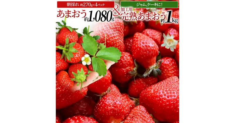 【ふるさと納税】あまおう いちご イチゴ 苺 合計2080g かわいいあまおう約270g×4パック+ジャム、ケーキ等用完熟あまおう詰め合わせ1箱(約1kg/箱)セット 大木町産 モエズ Moe’s【2025年1月～2025年5月末頃順次出荷予定】 CE02