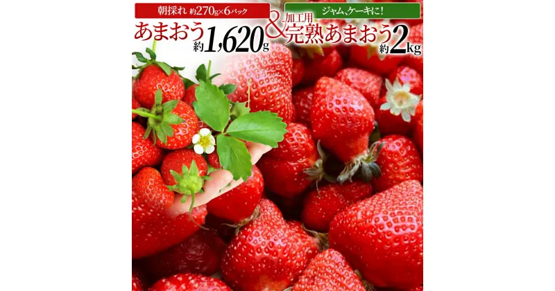 【ふるさと納税】あまおう いちご イチゴ 苺 合計3620g かわいいあまおう約270g×6パック+ジャム、ケーキ等用完熟あまおう詰め合わせ2箱(約1kg/箱)セット 大木町産 モエズ Moe’s【2025年1月～2025年5月末頃順次出荷予定】 CE03