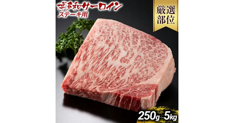 【ふるさと納税】博多和牛サーロインステーキ 250g 500g 1kg 5kg 黒毛和牛 お取り寄せグルメ お取り寄せ お土産 九州 福岡土産 取り寄せ グルメ MEAT PLUS CP-S0003 CP011 CP012 CP013 CP034