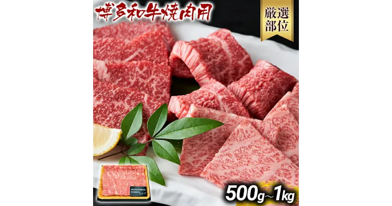 【ふるさと納税】博多和牛焼肉用 500g 1kg 黒毛和牛 お取り寄せグルメ お取り寄せ お土産 九州 福岡土産 取り寄せ グルメ MEAT PLUS CP-S0007 CP019 CP020