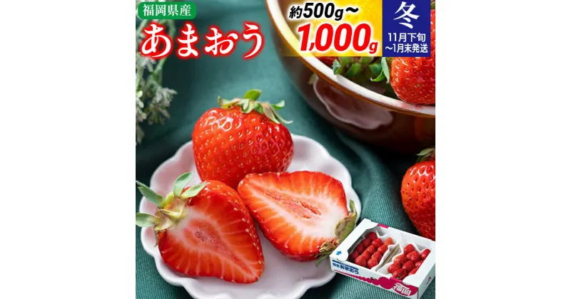 【ふるさと納税】福岡産【冬】あまおう 量が選べる 約500g 約1000g いちご 苺 果物 フルーツ 九州産 福岡県産 冷蔵 送料無料 【11月下旬発送開始予定】 イチゴ フルーツ 果物 くだもの ※北海道・沖縄・離島は配送不可 大木町産 南国フルーツ CO-S0001 CO001 CO002