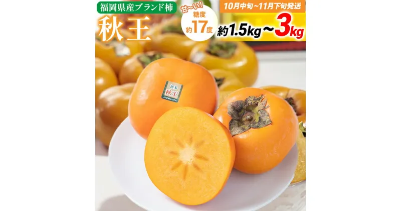 【ふるさと納税】 期間限定 福岡県産ブランド柿「秋王」 約1.5~3kg 返礼品 お取り寄せグルメ お取り寄せ グルメ カキ かき 果物 フルーツ 南国フルーツ CO-S0005 CO011 CO012