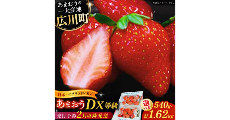 【ふるさと納税】【★先行予約★　2025年2月上旬より発送】〈選べる容量〉あまおうDXセット 約540g～1.6kg くだもの いちご イチゴ 果物 広川町 / JAふくおか八女農産物直売所どろや[AFAB004]