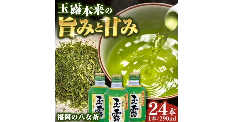 【ふるさと納税】福岡の八女茶 玉露 ボトル缶 290g×24本 お茶 緑茶 八女茶　広川町 / JAふくおか八女農産物直売所どろや[AFAB014]