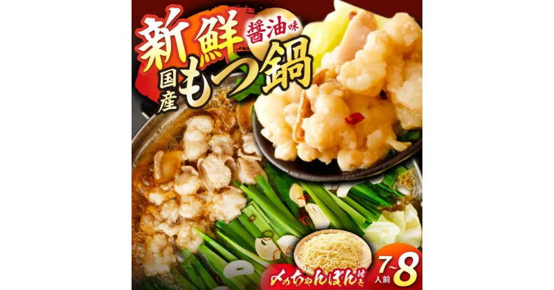 【ふるさと納税】国産 もつ鍋 醤油味 セット 800g 7～8人前 ちゃんぽん麺　広川町 / 亀井通産（株）[AFAR013]