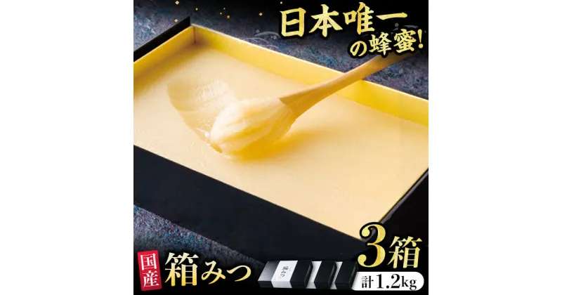 【ふるさと納税】【先行受付 令和6年12月より発送】箱みつ 3個セット 合計1200g (400g×3個)　広川町 / 株式会社九州蜂の子本舗[AFAI017]