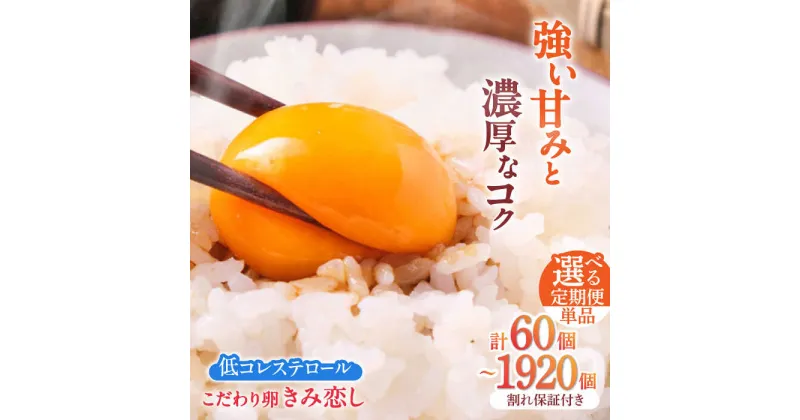 【ふるさと納税】【選べる定期便】きみ恋し 60個/80個/160個（55個+割れ保証5個/75個＋割れ保証5個/155個＋割れ保証5個）総計60個〜1920個 箱入り　広川町/伊藤養鶏場[AFAJ004]