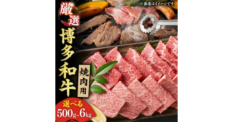 【ふるさと納税】【選べる定期便】【和牛の旨味を堪能！】博多和牛 焼肉用 肉 定期便 選べる 広川町/株式会社MEAT PLUS[AFBO069]