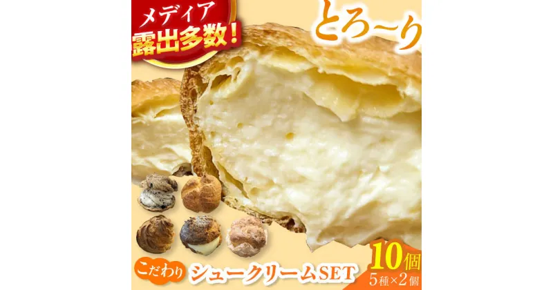 【ふるさと納税】9ream（クリーム） こだわりシュークリームSET クリーム スイーツ デザート 専門店 広川町 / イートウェル株式会社[AFAK296]