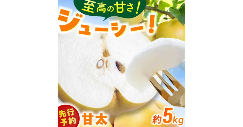 【ふるさと納税】梨（甘太）約5kg 広川町 / JAふくおか八女農産物直売所どろや[AFAB061]