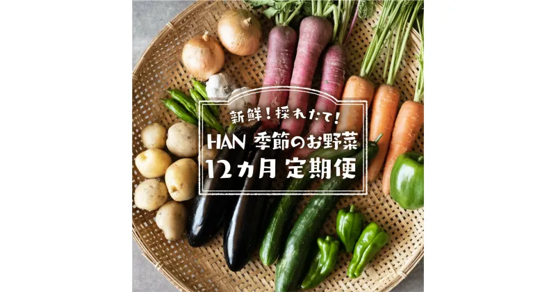 【ふるさと納税】 季節のお野菜 送料無料 野菜 セット 詰め合わせ 農薬不使用 新鮮 採れたて やさい12カ月 定期便 HAN