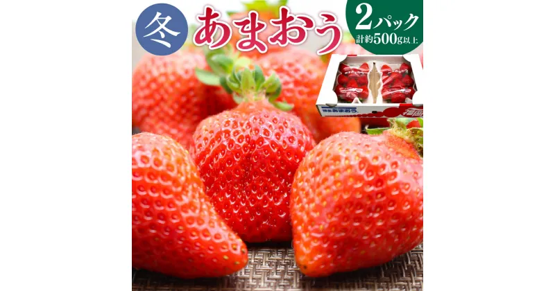 【ふるさと納税】【2024年12月上旬から2025年1月下旬発送予定】 博多あまおう2パック(冬) 250g-270g×2パック 計約500g以上 あまおう いちご 苺 ストロベリー 果物 フルーツ 福岡県産 博多 福岡 青果 送料無料