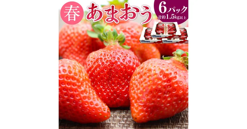 【ふるさと納税】【2025年2月上旬から4月下旬発送予定】博多あまおう6パック(春) 250g-270g×6パック 計約1.5kg あまおう いちご 苺 ストロベリー 果物 フルーツ 福岡県産 博多 福岡 青果 送料無料