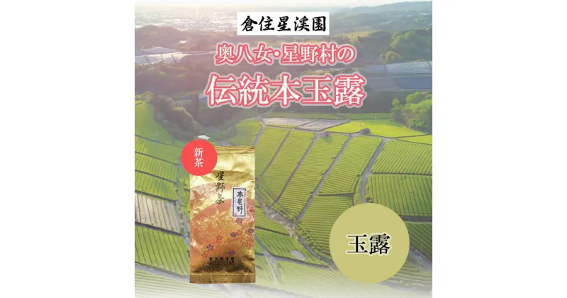 【ふるさと納税】奥八女・星野村の伝統八女茶 本玉露 80g [a9275] 株式会社 ゼロプラス 【返礼品】添田町 ふるさと納税