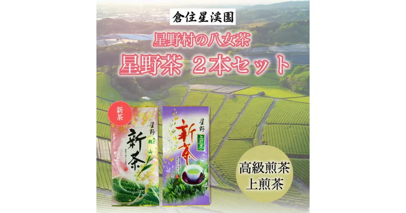 【ふるさと納税】星野村の八女茶 2本セット [a9273] 株式会社 ゼロプラス 【返礼品】添田町 ふるさと納税