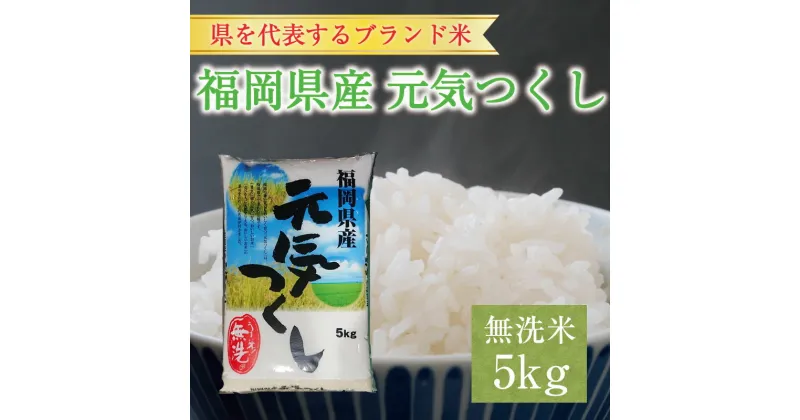 【ふるさと納税】令和6年産 福岡県産元気つくし無洗米5kg(5kg×1) [a8196] 株式会社 藤食糧 【返礼品】添田町 ふるさと納税