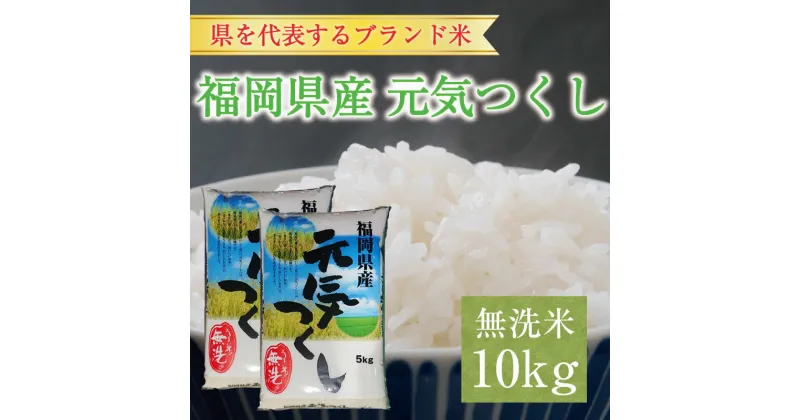 【ふるさと納税】令和6年産 福岡県産元気つくし無洗米10kg(5kg×2) [a8197] 株式会社 藤食糧 【返礼品】添田町 ふるさと納税