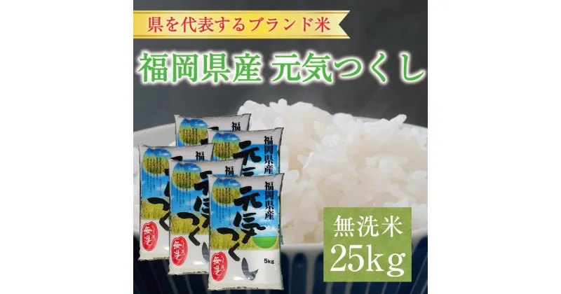 【ふるさと納税】令和6年産 福岡県産元気つくし無洗米25kg(5kg×5) [a8198] 株式会社 藤食糧 【返礼品】添田町 ふるさと納税