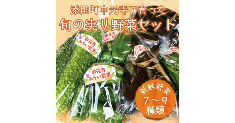 【ふるさと納税】中元寺 旬の実り 野菜 セット(旬の野菜 7～9種類程度) [a9010] 中元寺みらい農業株式会社 ※配送不可：北海道・東北・沖縄・離島【返礼品】添田町 ふるさと納税