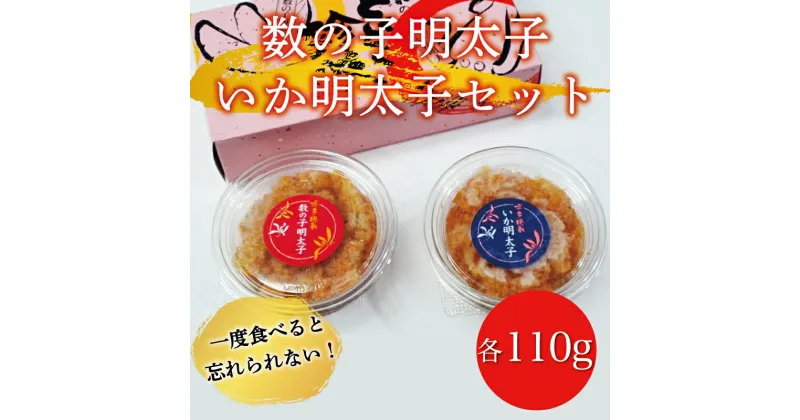 【ふるさと納税】数の子明太子＆いか明太子 セット 各110g とくとく珍味 辛子明太子使用 [a9214] 株式会社マル五 ※配送不可：離島【返礼品】添田町 ふるさと納税