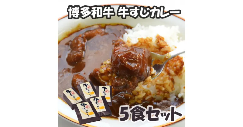 【ふるさと納税】博多和牛 牛すじカレー5食セット [a0503] 株式会社マル五 【返礼品】添田町 ふるさと納税