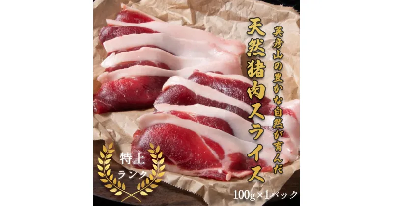 【ふるさと納税】添田産ジビエ 猪肉スライス 100g [a0512] 道の駅歓遊舎ひこさん出品者協同組合 ※配送不可：離島【返礼品】添田町 ふるさと納税