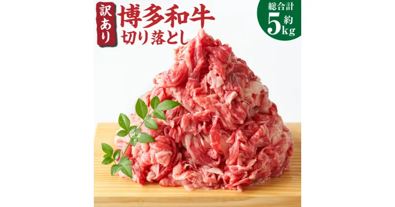 【ふるさと納税】訳あり! 博多和牛 切り落とし 5kg 約500g×10パック 牛肩 バラ 黒毛和牛 和牛 牛肉 福岡県 送料無料