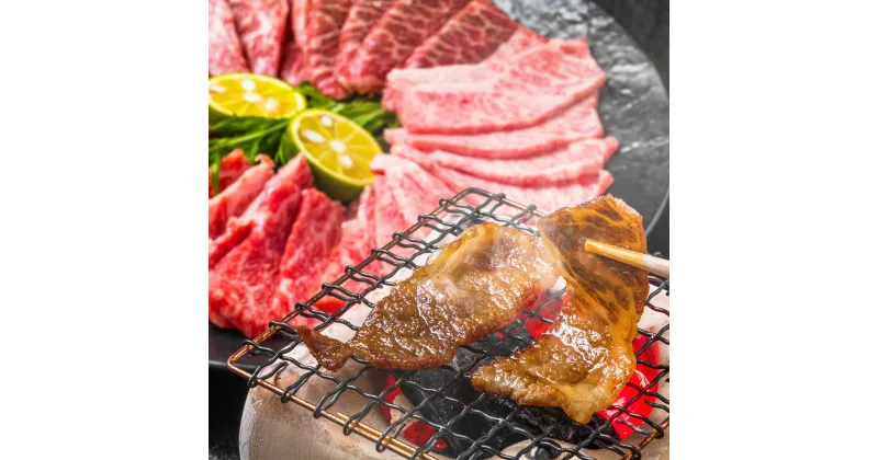 【ふるさと納税】博多和牛 焼肉用 500g 黒毛和牛 牛肉 和牛 牛バラ 肩ロース モモ 焼肉 BBQ 冷凍 国産 九州産 福岡県産 送料無料