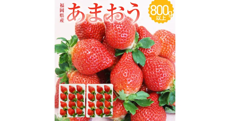 【ふるさと納税】福岡県産 あまおう 2パック 合計約800g以上 いちご 苺 フルーツ 果物 九州産 糸田町産 送料無料 【2024年12月-2025年3月下旬発送】