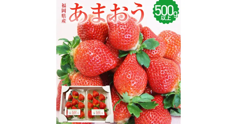 【ふるさと納税】福岡県産 あまおう 2パック 合計約500g以上 いちご 苺 フルーツ 果物 九州産 糸田町産 送料無料 【2024年12月-2025年3月下旬発送】