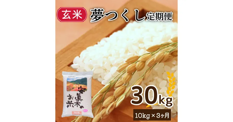 【ふるさと納税】夢つくし 玄米 30kg 精米 米 お米 コメ ごはん ご飯 おこめ こめ 長期保存 備蓄 長持ち 防災 夕食 晩ごはん 地震 緊急 避難 福岡 川崎