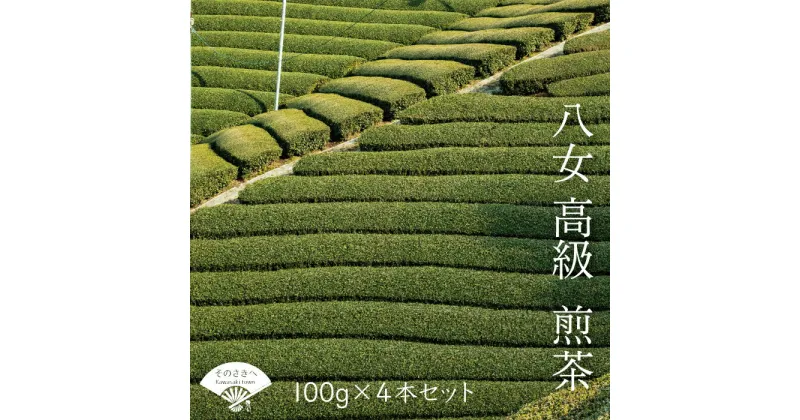 【ふるさと納税】 八女 煎茶 100g 4本 セット お茶 茶 アフタヌーンティー 茶 おやつ デザート のお供 リラックス ダイエット 飲料水 ジュース 福岡 川崎