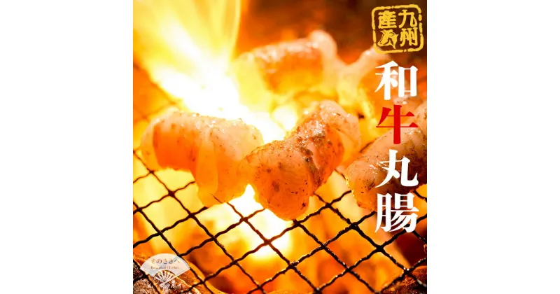 【ふるさと納税】 国産 丸腸 500g マル腸 牛 ホルモン 焼き肉 焼肉 BBQ おかず 晩ごはん 夕食 お肉 年末 年始 簡単 下処理 肉 オニク年末 年始 春 夏 秋 冬 家族 イベント 牛若丸タレ付セット 福岡