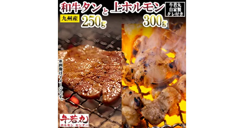 【ふるさと納税】 牛タン 250g 上 ホルモン 300g セット 特製タレ付き 冷凍 小分け もつ モツ鍋 焼肉 もつ鍋 タン 牛タン 和牛 肉 九州産 国産牛 惣菜 ごはん 惣菜 牛若丸ホルモンセンター 福岡県 川崎町