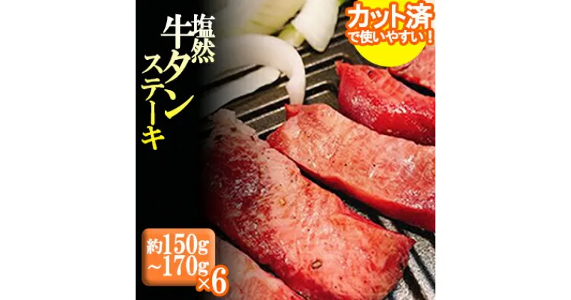 【ふるさと納税】 牛タン ステーキ 約900g ( 150g ~ 170g ×6P ) 牛肉 ステーキ 塩 牛タン 塩然 牛タン 1kg 程度 肉 冷凍 セット 小分け 惣菜 おかず 調理 おつまみ 父の日 ミートミーツ やきにくのにしもと