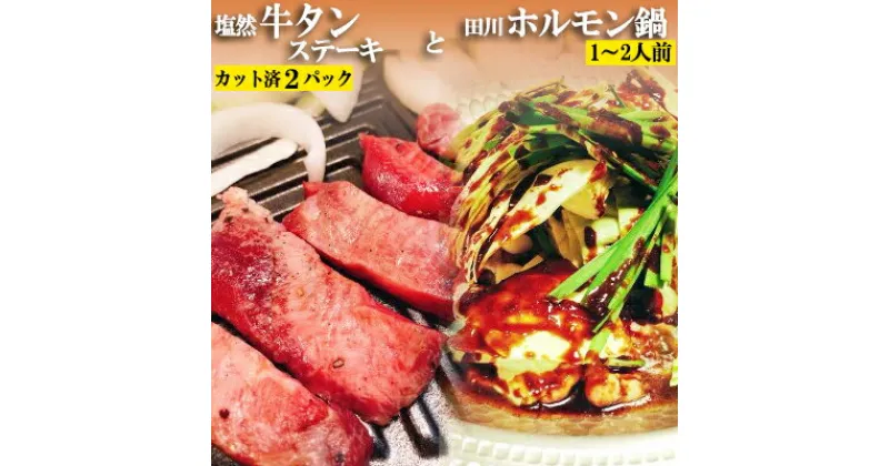 【ふるさと納税】 牛タン 2パック ホルモン鍋 ( 1 ~ 2人前 ) セット 牛肉 ステーキ 塩 牛タン 塩然 牛タン 肉 冷凍 セット 小分け 惣菜 おかず 調理 おつまみ 父の日 田川ホルモン ホルモン 鍋 ミートミーツ やきにくのにしもと