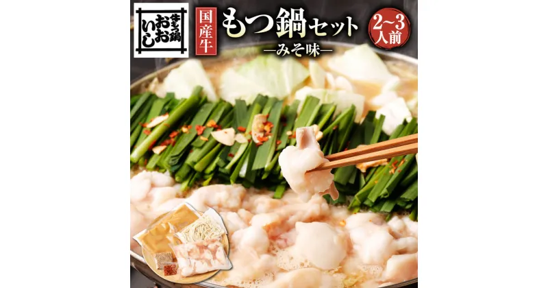 【ふるさと納税】国産牛 もつ鍋セット みそ味 2～3人前 牛もつ鍋おおいし 小腸 スープ ちゃんぽん麺 ごま・唐辛子入り モツ鍋 もつ鍋 セット もつ モツ ホルモン 鍋 味噌 スープ付 冷凍 九州産 福岡県産 送料無料