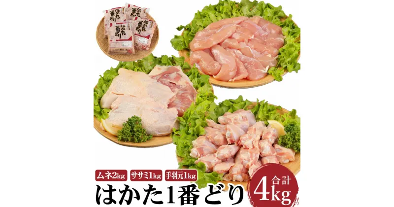 【ふるさと納税】はかた1番どり 4kg セット（ムネ2kg・ササミ1kg・手羽元1kg） 鶏肉 とり肉 ムネ 鶏むね ササミ ささみ 手羽元 地鶏 小分け 冷凍 福岡県産 九州産 国産 送料無料