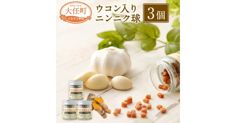 【ふるさと納税】ウコン入りニンニク球3個セット 20g×3 国産 栄養補助食品 サプリメント サプリ にんにく うこん 玉 瓶入 送料無料