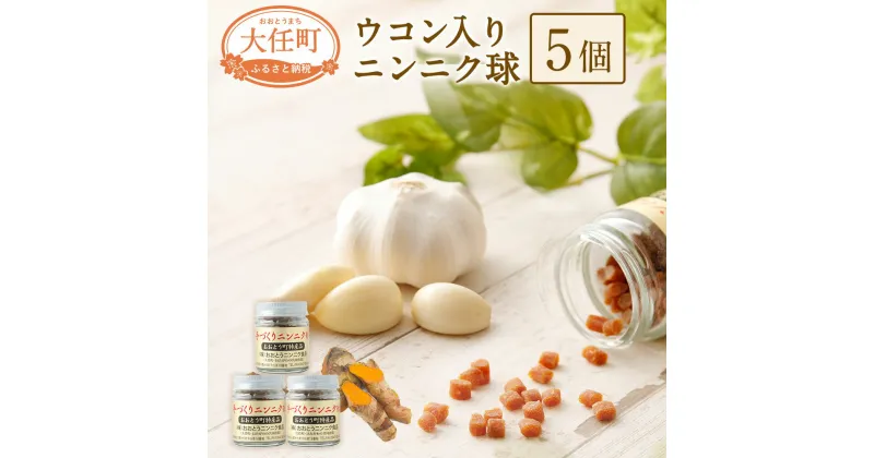 【ふるさと納税】ウコン入りニンニク球5個セット 20g×5個 国産 栄養補助食品 サプリメント サプリ にんにく うこん 玉 瓶入 送料無料