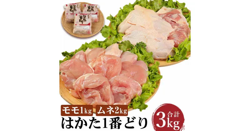 【ふるさと納税】はかた1番どり モモ・ムネ 3kg セット （モモ1kg・ムネ2kg） 鶏肉 とり肉 モモ ムネ 鶏もも 鶏むね 地鶏 小分け 冷凍 福岡県産 九州産 国産 送料無料