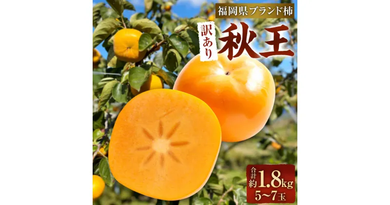 【ふるさと納税】【訳あり品】 福岡県ブランド柿 秋王 5-7玉 約1.8kg 種無し 【2024年11月上旬-11月下旬発送予定】 訳あり ワケアリ ご家庭用 柿 種なし たねなし 福岡県産 九州産 国産 カキ かき 果物 フルーツ くだもの 旬 冷蔵 福岡県 大任町 送料無料