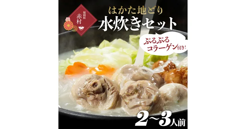 【ふるさと納税】はかた地どり 美人水炊きセットA 2〜3人前 福岡 博多 地どり 水炊き ラーメン 国産 鶏肉 もも肉ぶつ切り つみれ コラーゲン 鍋 送料無料 福岡県 赤村 2T4