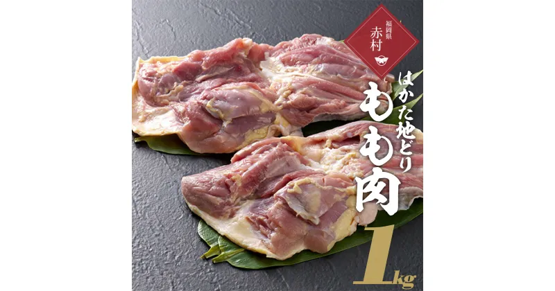 【ふるさと納税】はかた地どり　もも肉　1kg